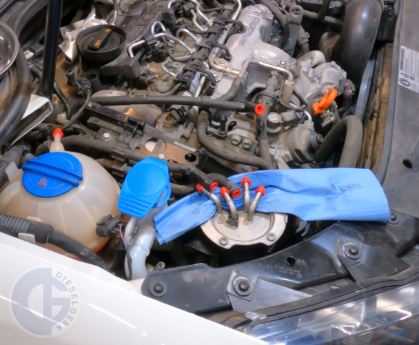 Engine Plug Vs Cap Cap Plug Set for Timing Belt Service– www.dieselgeek.com