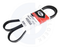 Serpentine drive belt for BHW power steering 038 903 137T